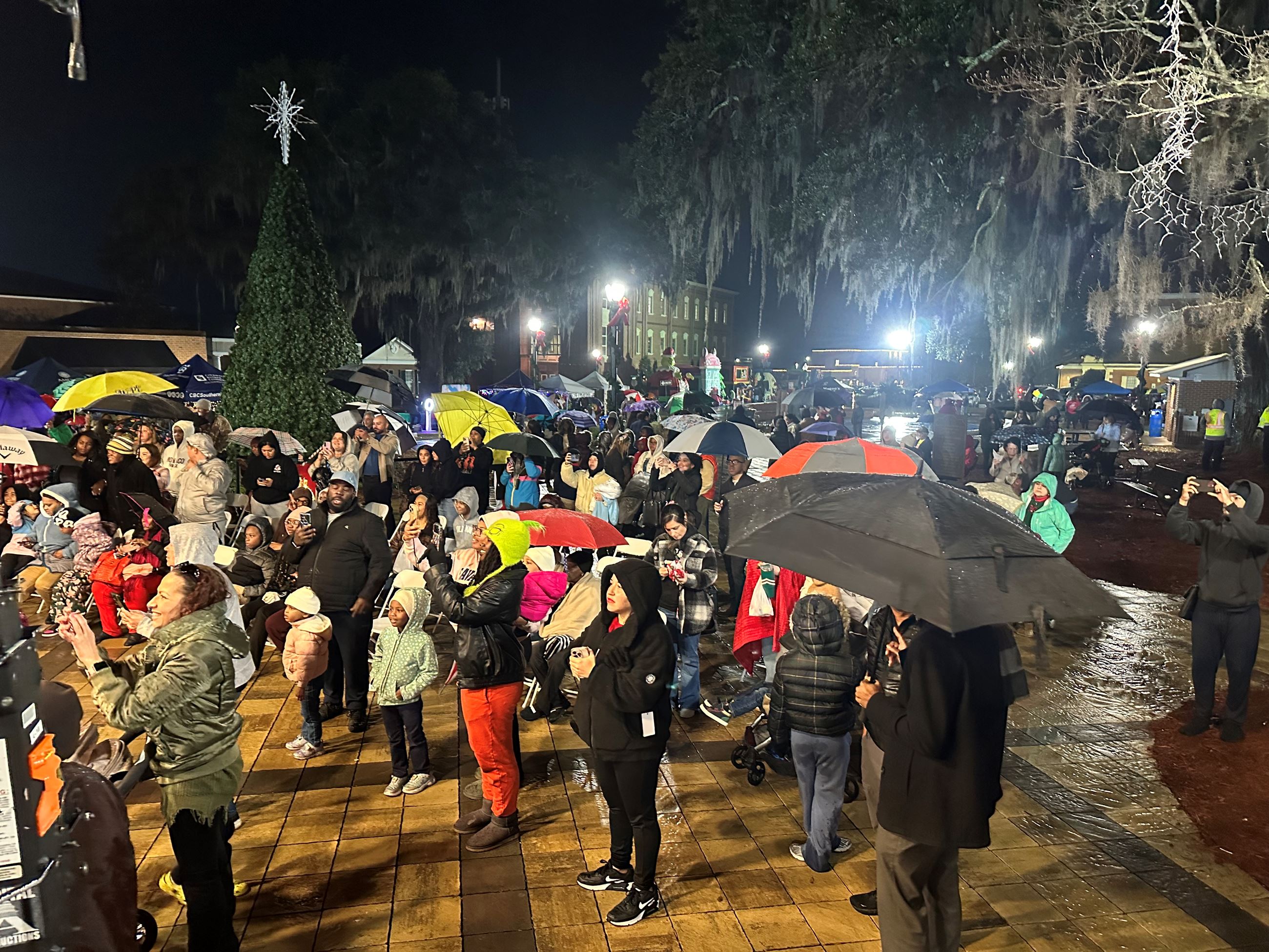 Hinesville for the Holidays. Picture 21